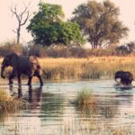 List of National Parks & Game Reserves in Botswana