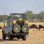 The Best Types of Safaris you can experience in Tanzania