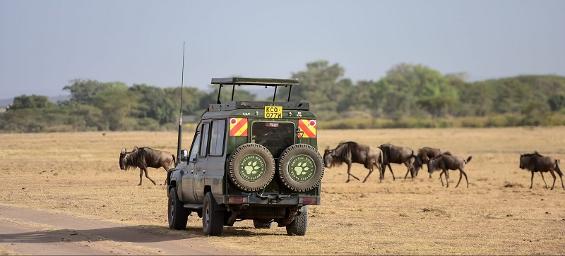 The Best Types of Safaris you can experience in Tanzania