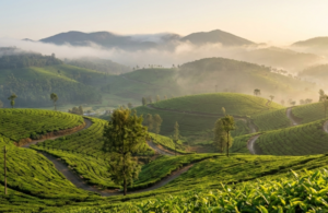 7 Beautiful Places to Visit in Kotagiri That You Shouldn’t Miss